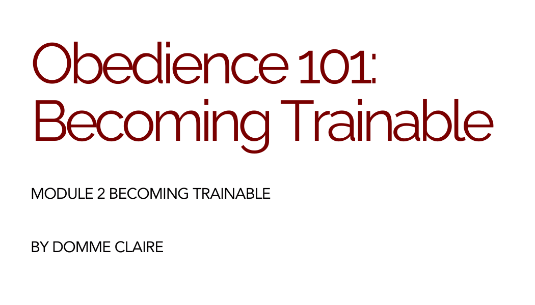 PDF Guide: Becoming Trainable