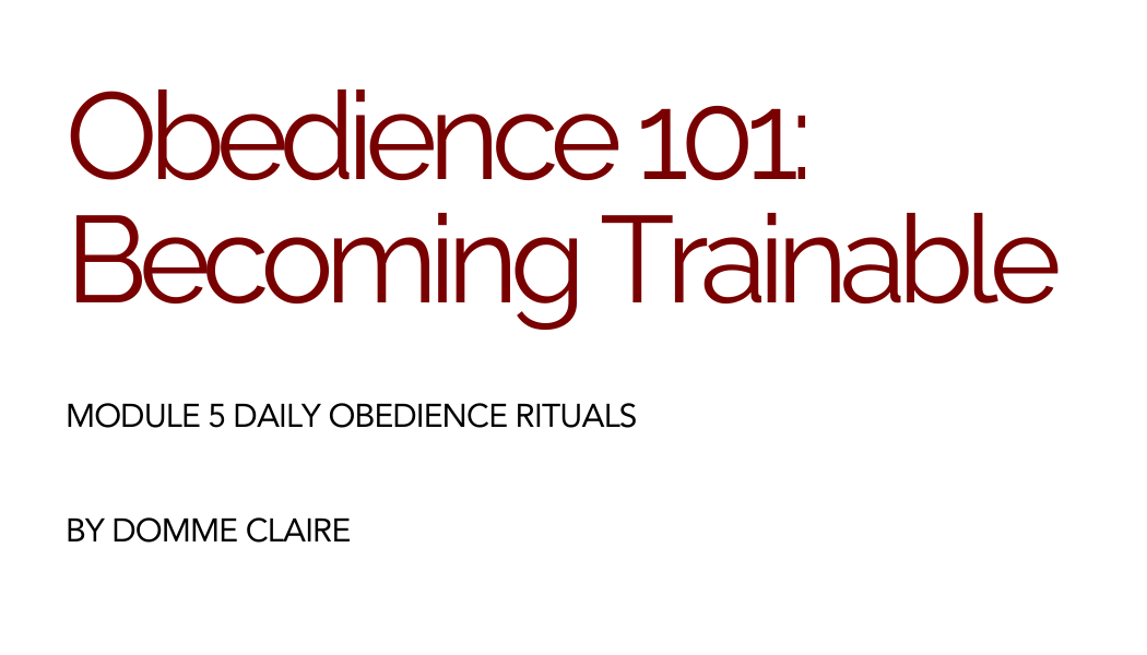 PDF Guide: Obedience as a Daily Practice