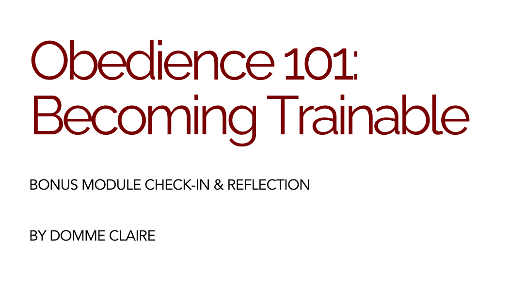 Worksheet: Obedience Reflection Log